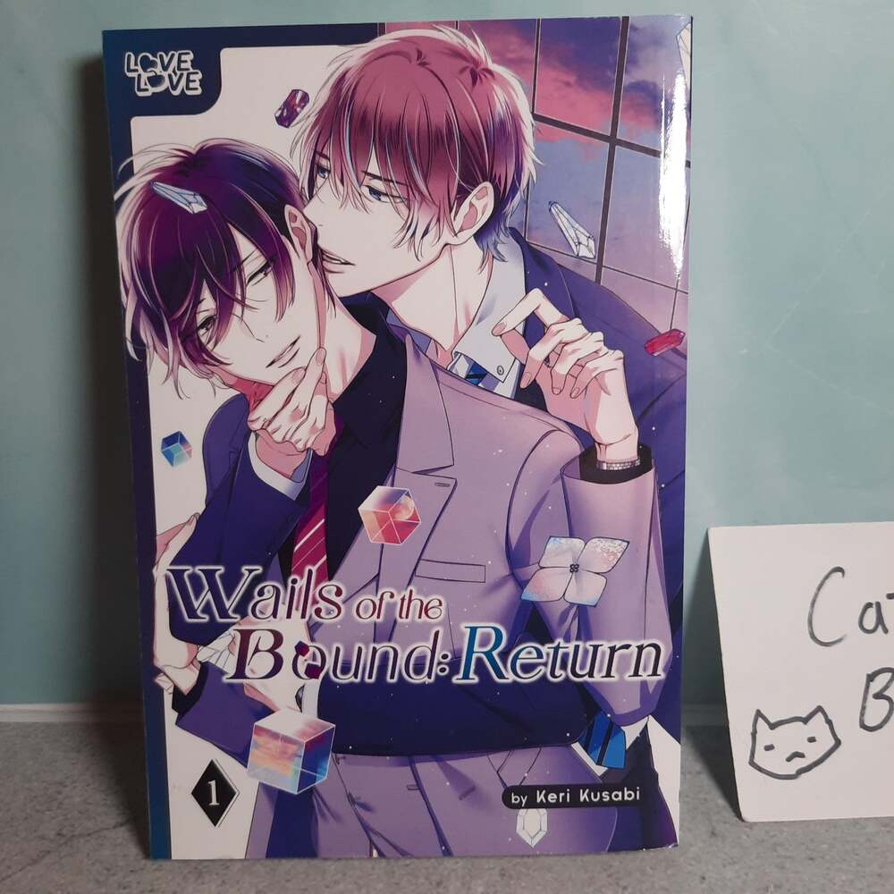 📚Wails of the Bound: Beta, Volume 3 English Manga Paperback TokyoPop Yaoi